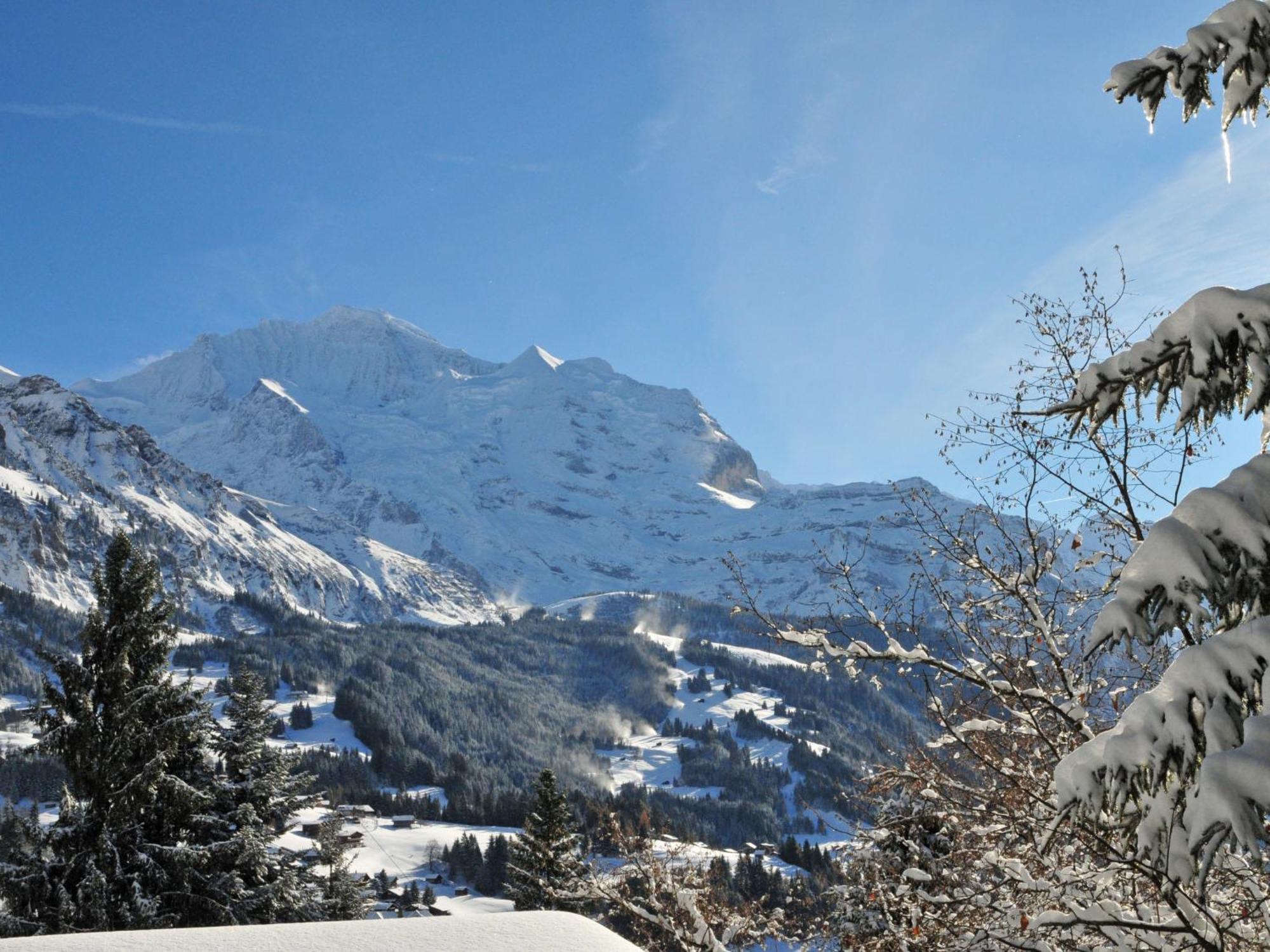 Apartment Primula By Interhome Wengen Exterior foto